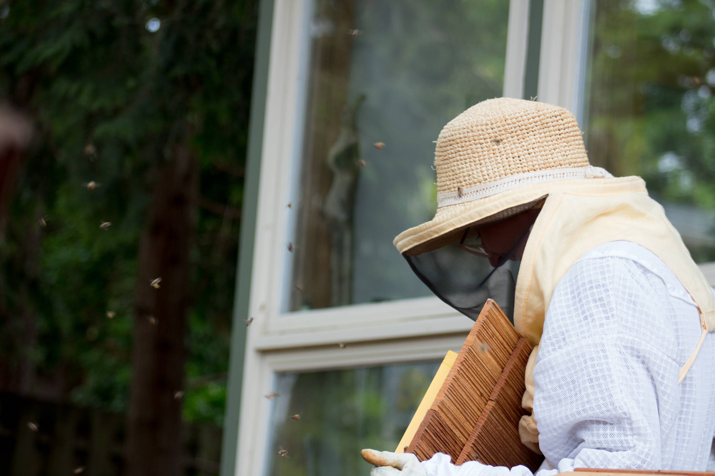 一个和蜜蜂一起工作的养蜂人建造了蜂箱