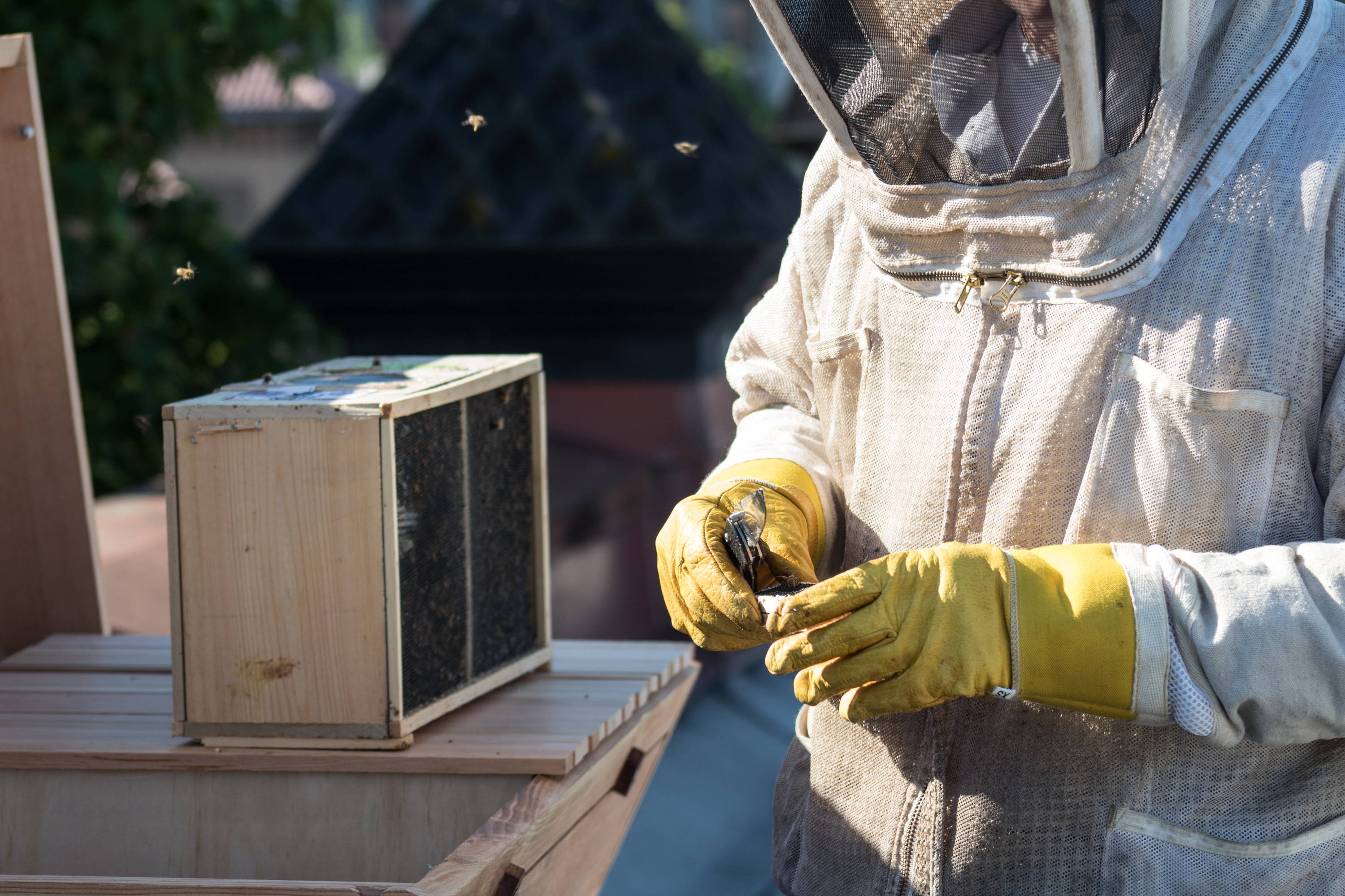 一个养蜂人的照片，推荐几个网赌网站顶部酒吧蜂箱，和一个蜜蜂包