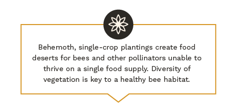 巨兽, 单一作物的种植为蜜蜂和其他无法依靠单一食物供应的传粉者创造了食物沙漠. 植被多样性是蜜蜂健康栖息地的关键.