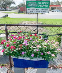 EarthBox Flowers