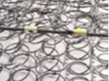 section of bare mattress springs