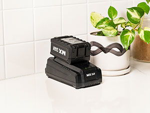 Black battery packs next to a potted plant on a countertop.