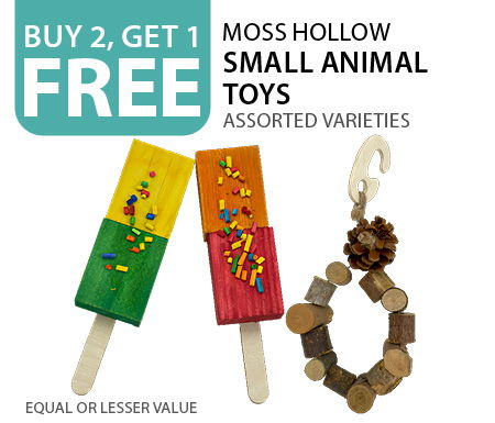 Buy 2, get 1 free Moss Hollow Small Animal Toys. Equal or lesser value.