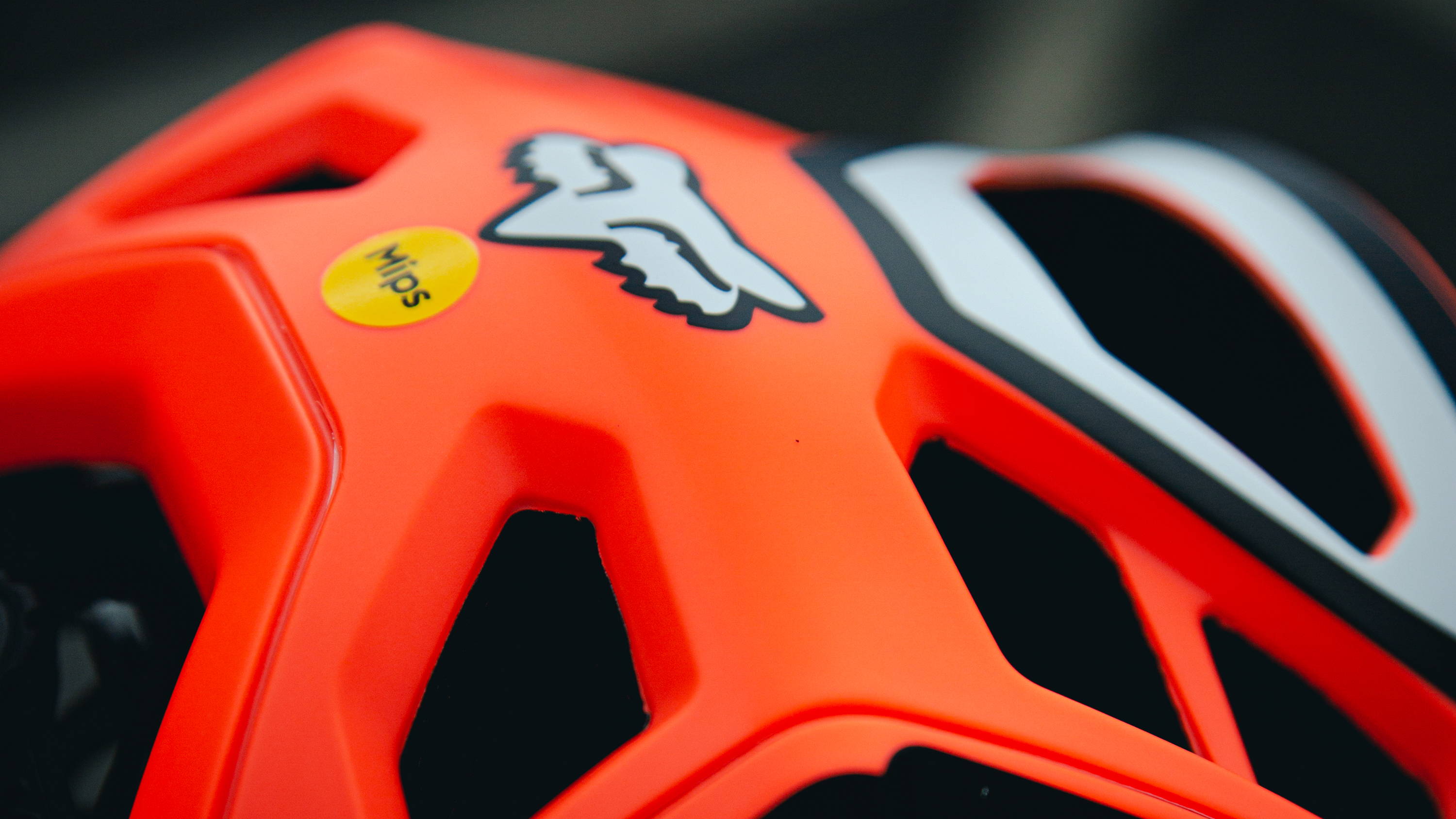 detail of mips sticker and fox logo on the fox speedframe pro mtb helmet in the dvide colorway