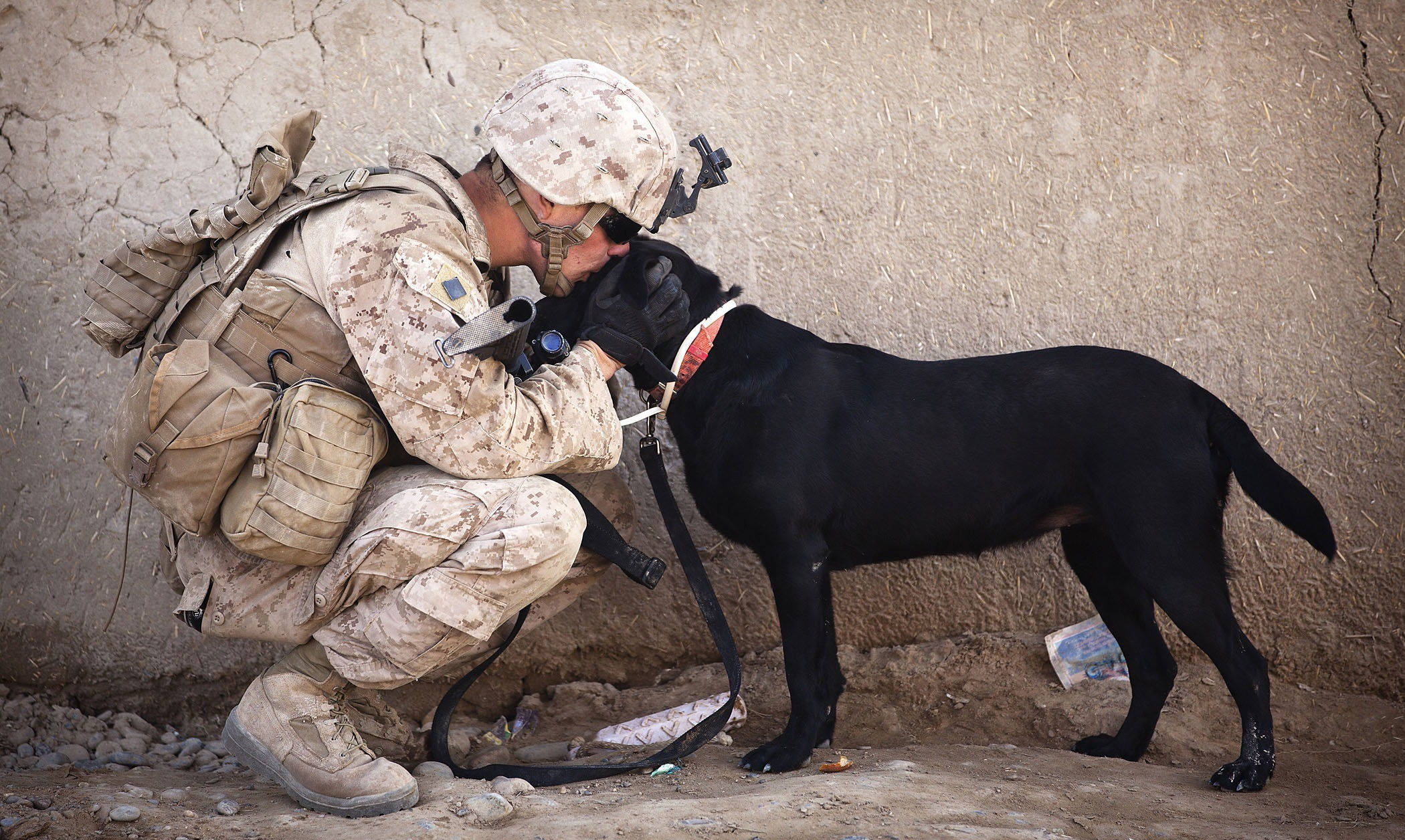 soldier kissing a black dog