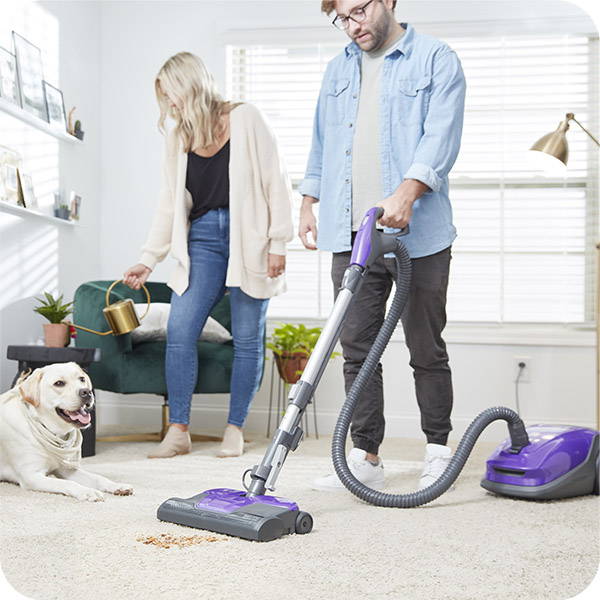 Man cleaning mess on the living room carpet