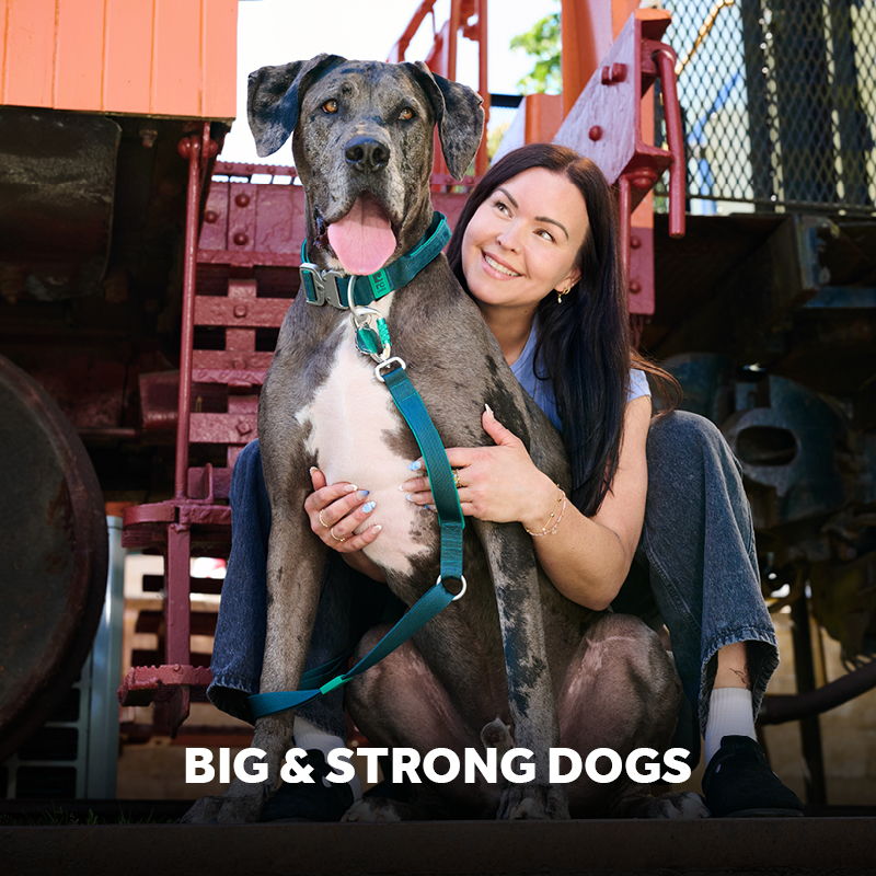 A person smiling while sitting with a large dog.