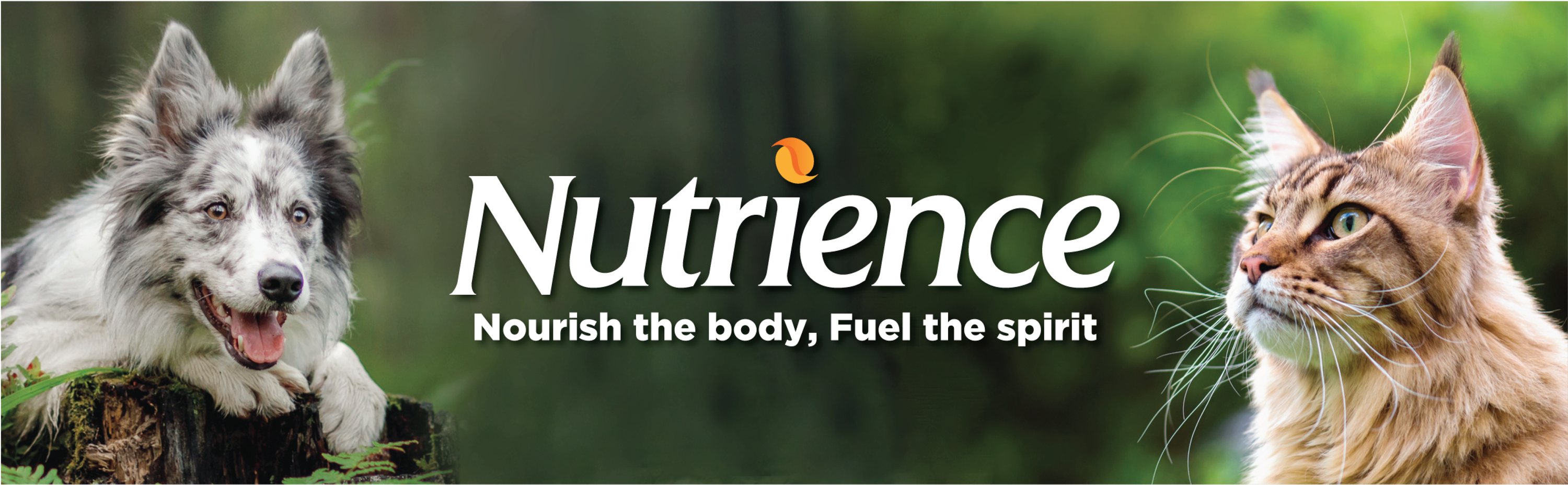 NUTRIENCE - Nourish the body, fuel the spirit
