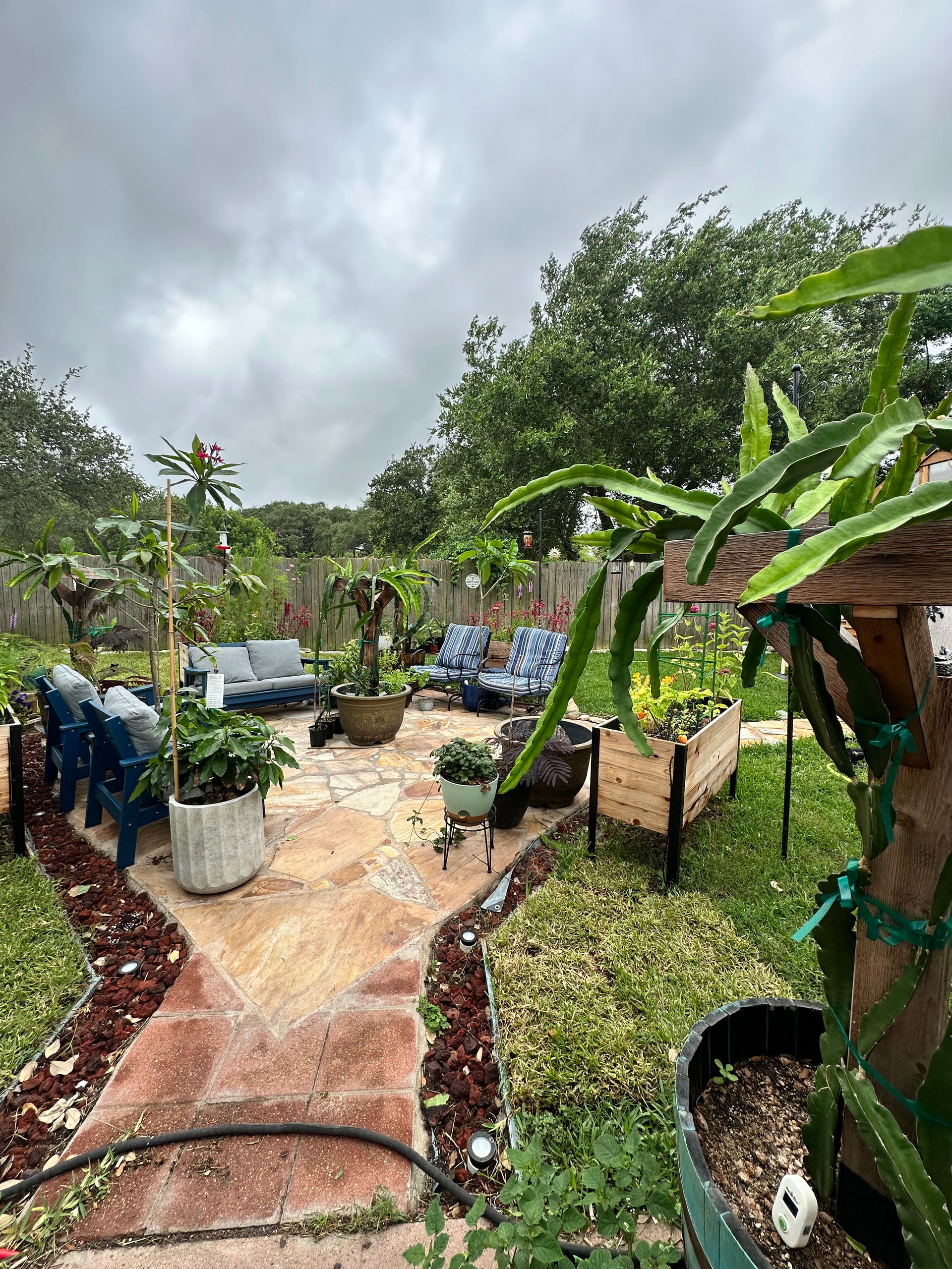 A garden with seating, plants, and a stone pathway under cloudy skies.