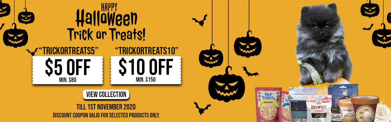 happy halloween trick or treats online pet shop singapore pawpy kisses singapore-1.