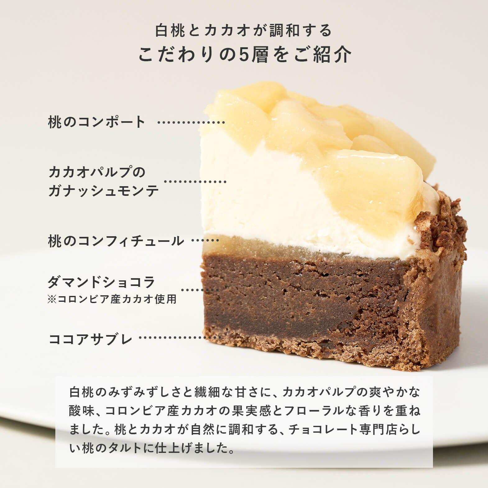 白桃チョコレートタルト断面紹介