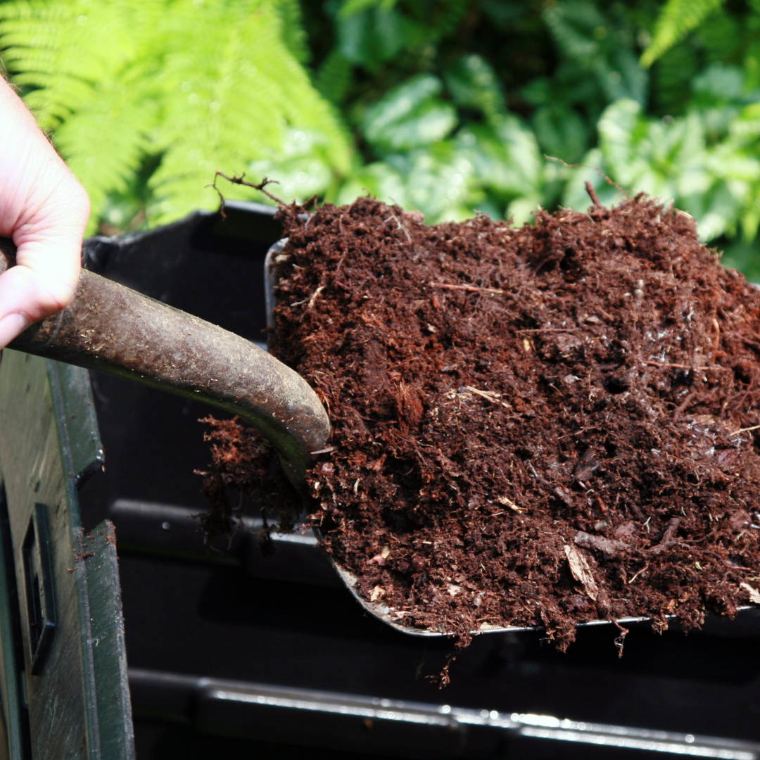 Person shoveling rich soil into a compost bin