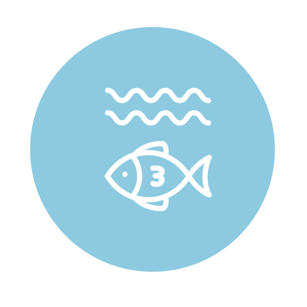 Amandean Premium Wild-Caught Marine Collagen Peptide