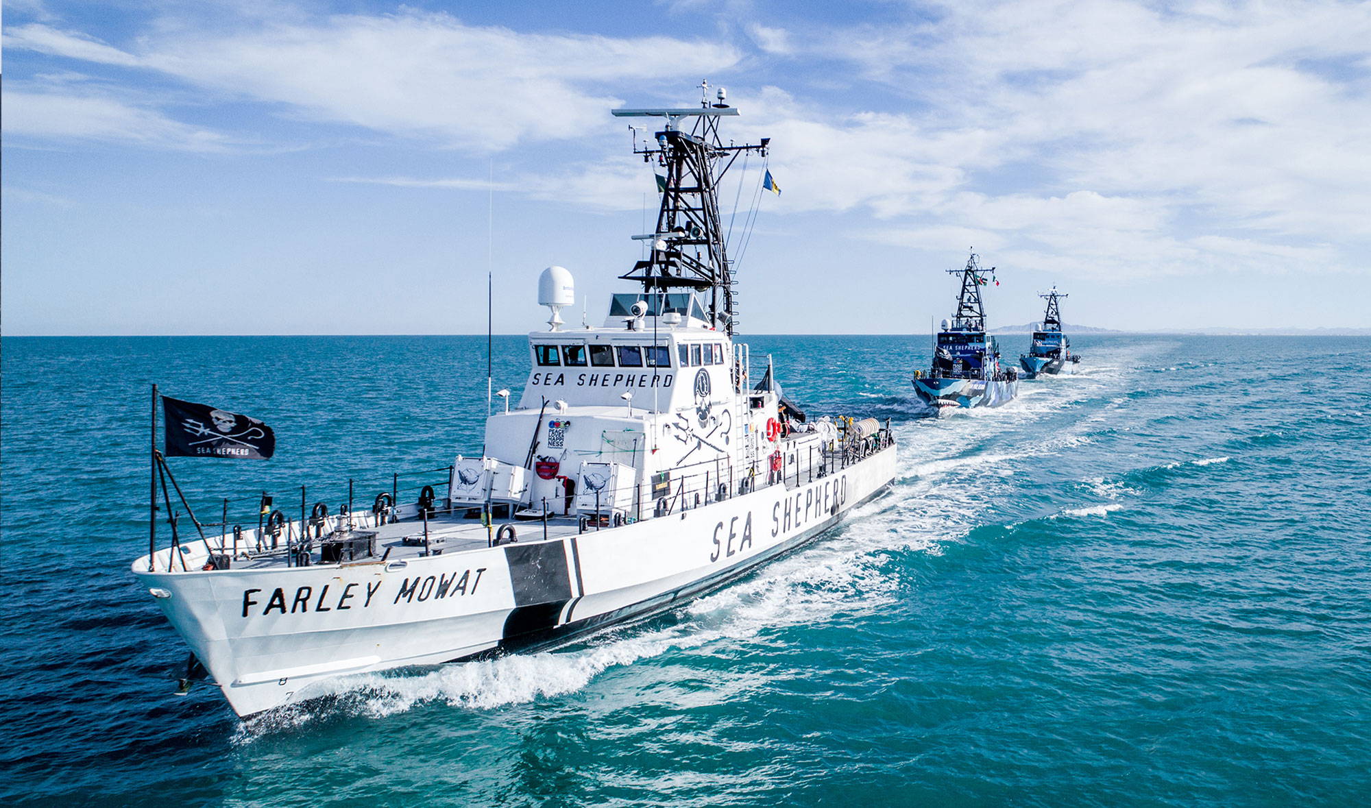 Sea Shepherd - Partners
