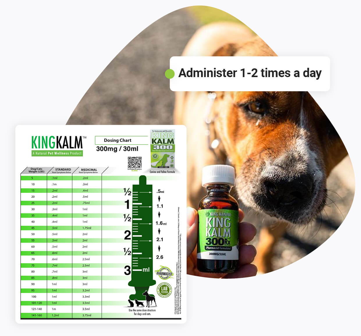 The 10-Minute Rule for Cbd For Large Size Pet And Dog