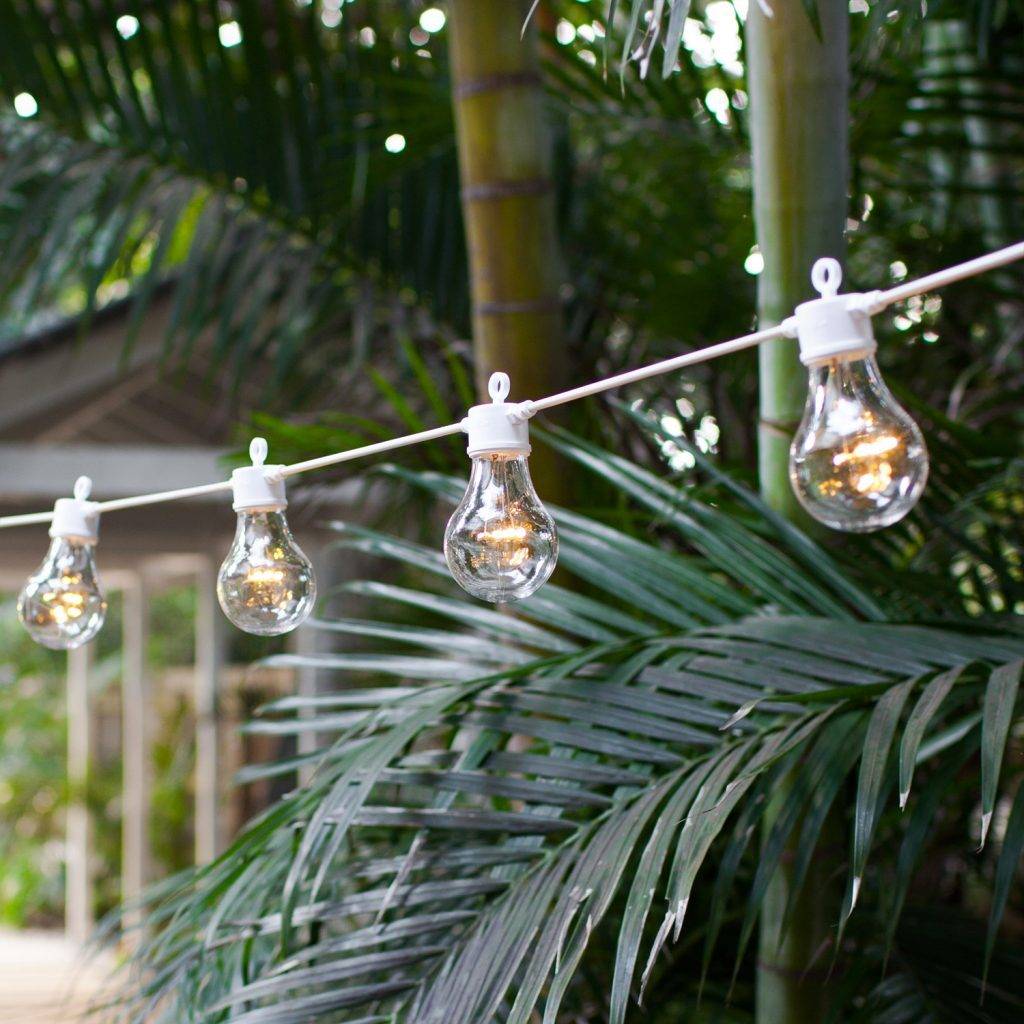 White festoon lights in a Summer outdoor setting.