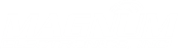 Magnum Electronics