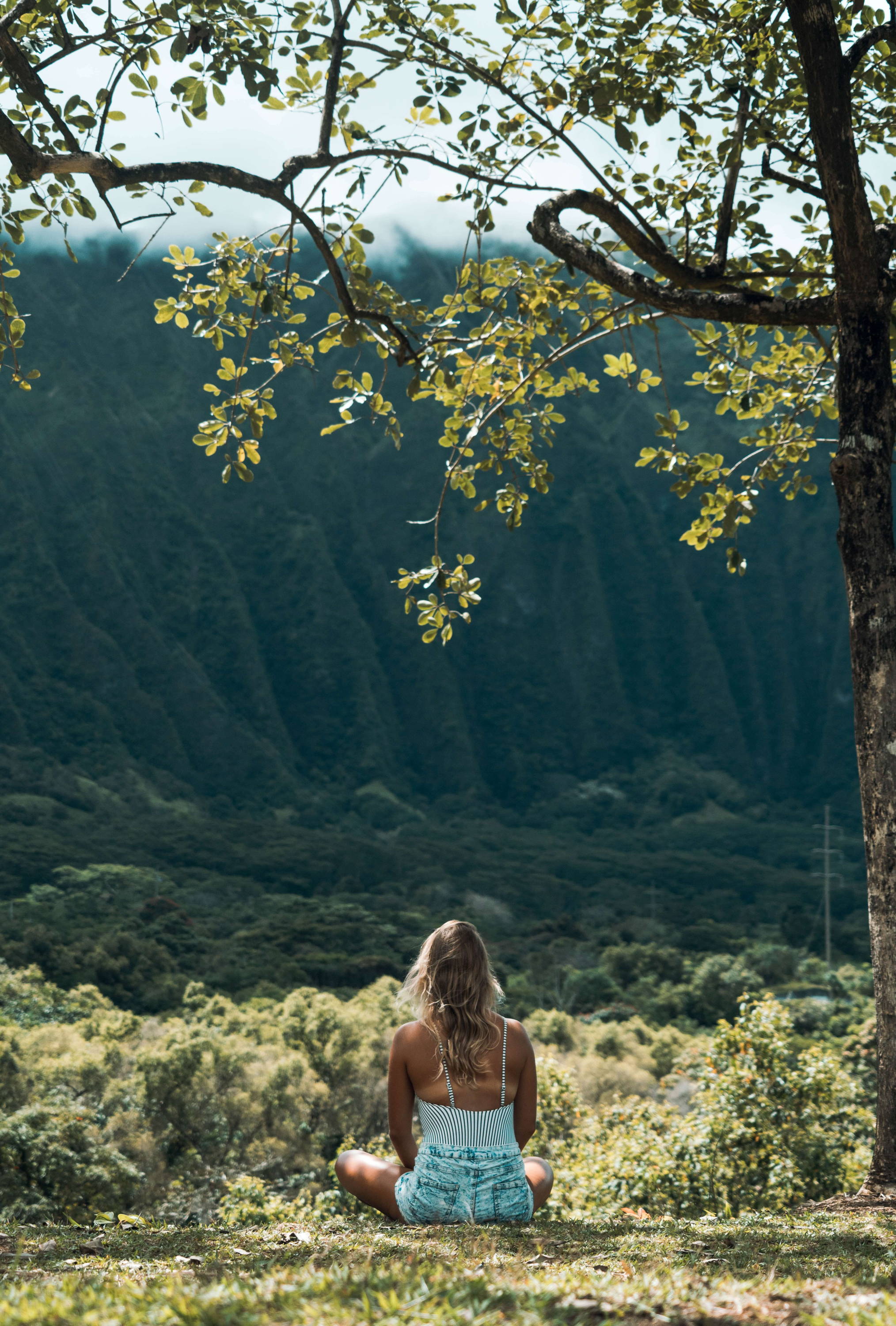 woman sitting down facing nature