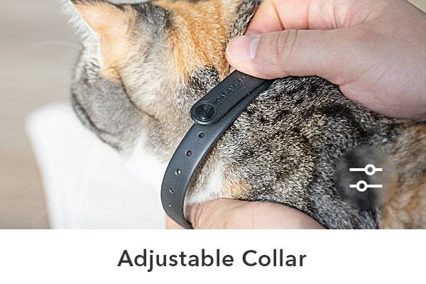 Adjustable Collar