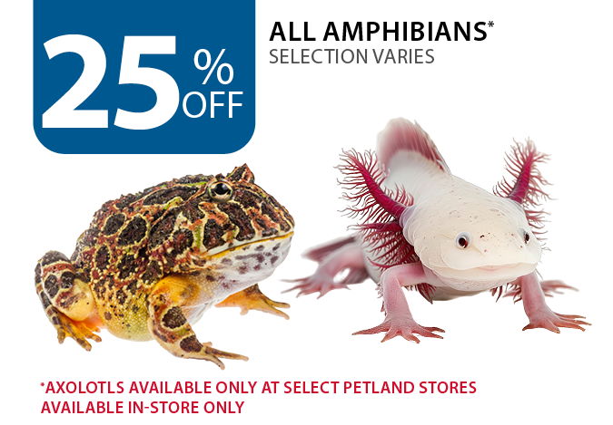 25% off all amphibians. Axolotls available only at select Petland stores. Available in-store only.