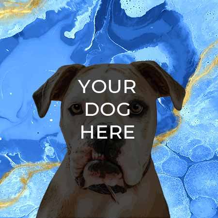 pop your pup pop art example on marble background