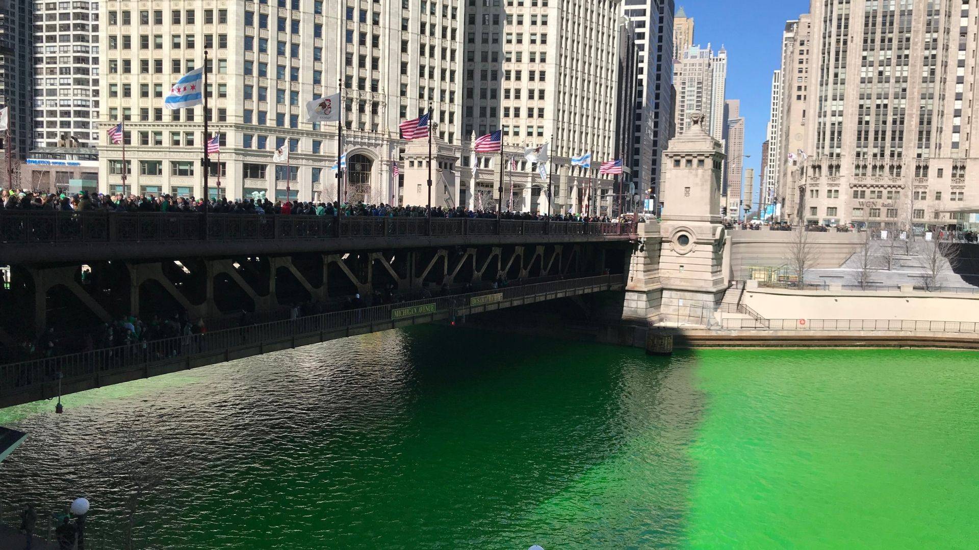 chicago river dyed green