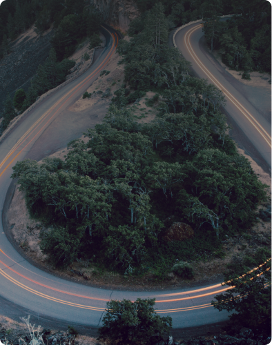 Winding road through trees with light trails at dusk.