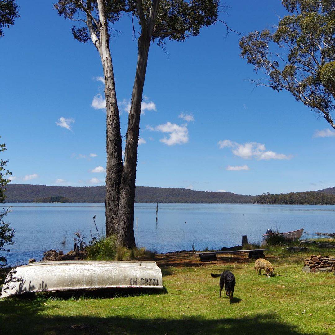 Lake Leake Campground, Dog camping South Australia