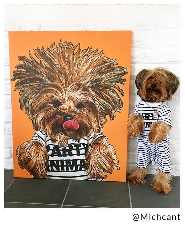 yorkie next to canvas
