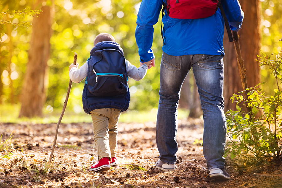 back of young boy and man hiking in the forest