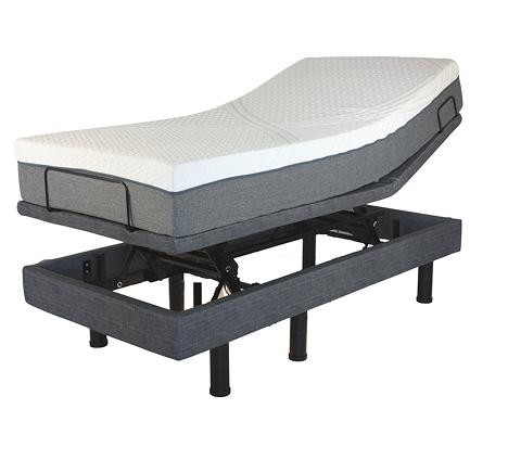 Golden Passport hi-low adjustable bed Twin XL