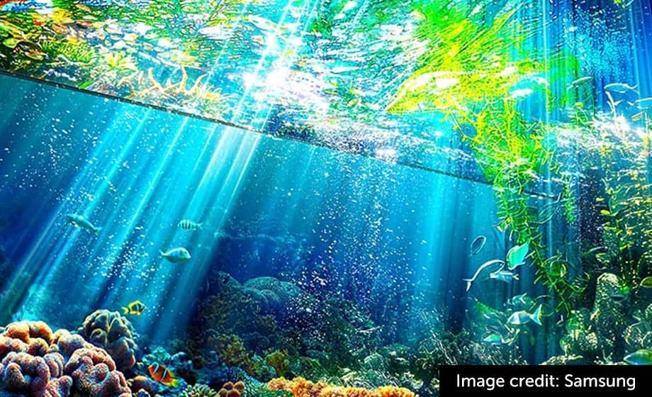 Underwater scene with rays of light illuminating colorful corals and marine life.