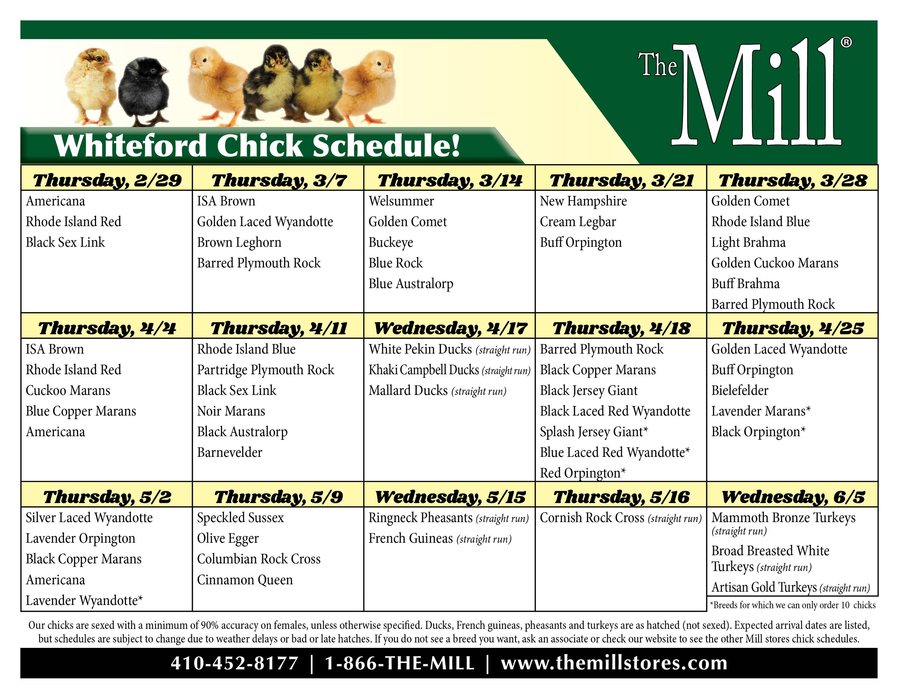 The Mill of Whiteford chick schedule 2024