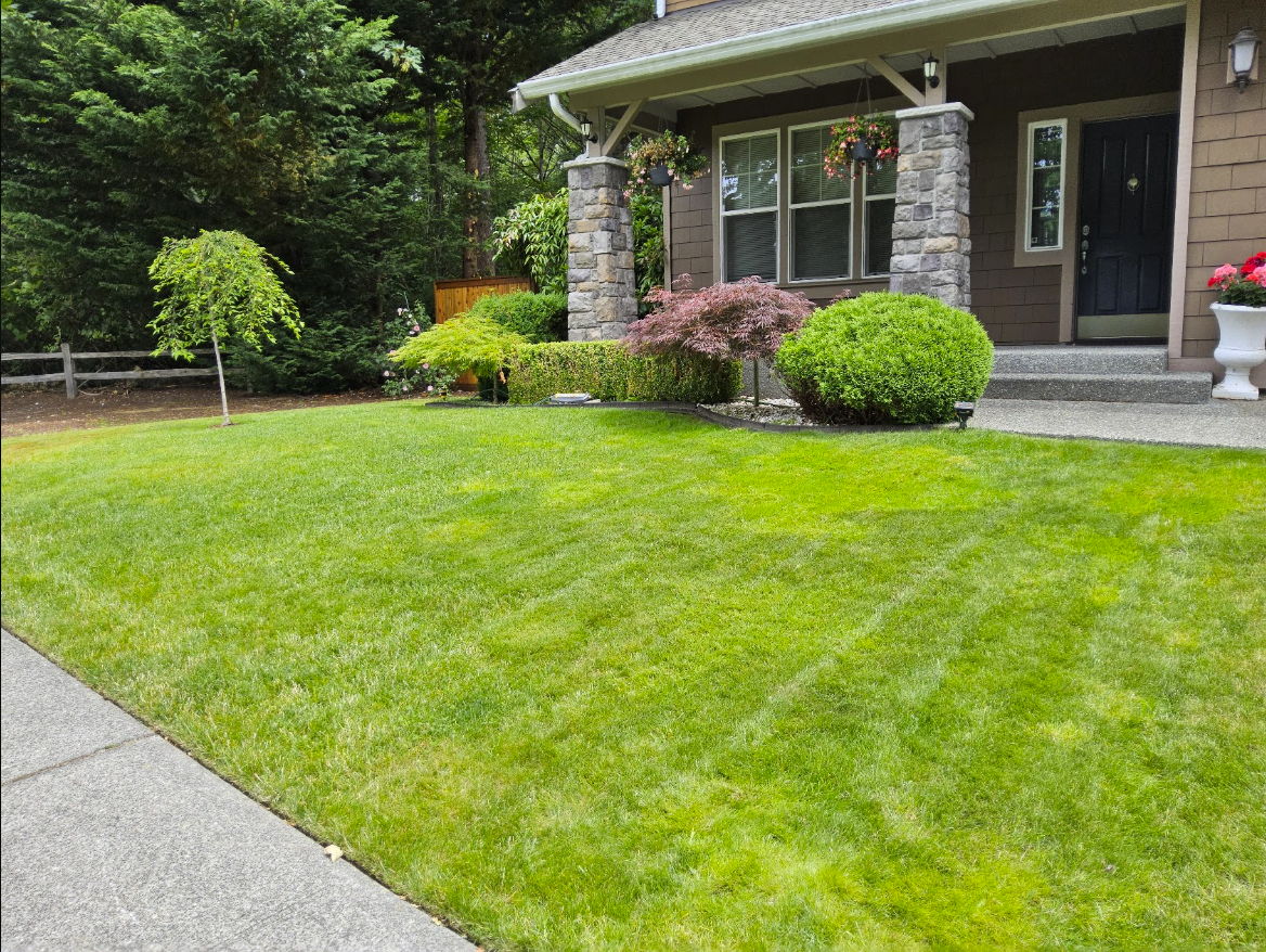 Lawn in front of a house with shrubs and trees.