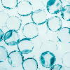Une image de bulles bleues