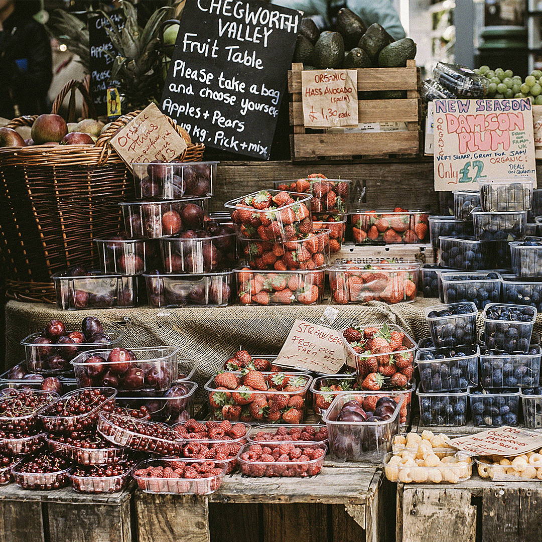 how-to-build-a-sustainable-diet