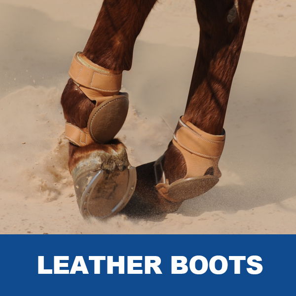 Horse legs wearing leather boots on sandy ground.