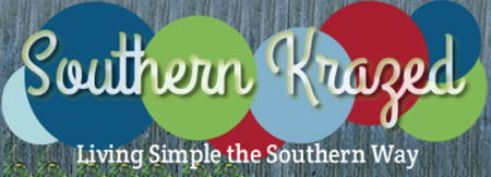 the southern krazed blog logo
