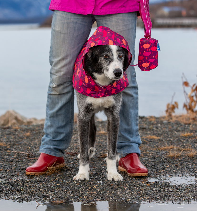 Dog wearing a pink hooded coat stands beside a person in colorful attire.