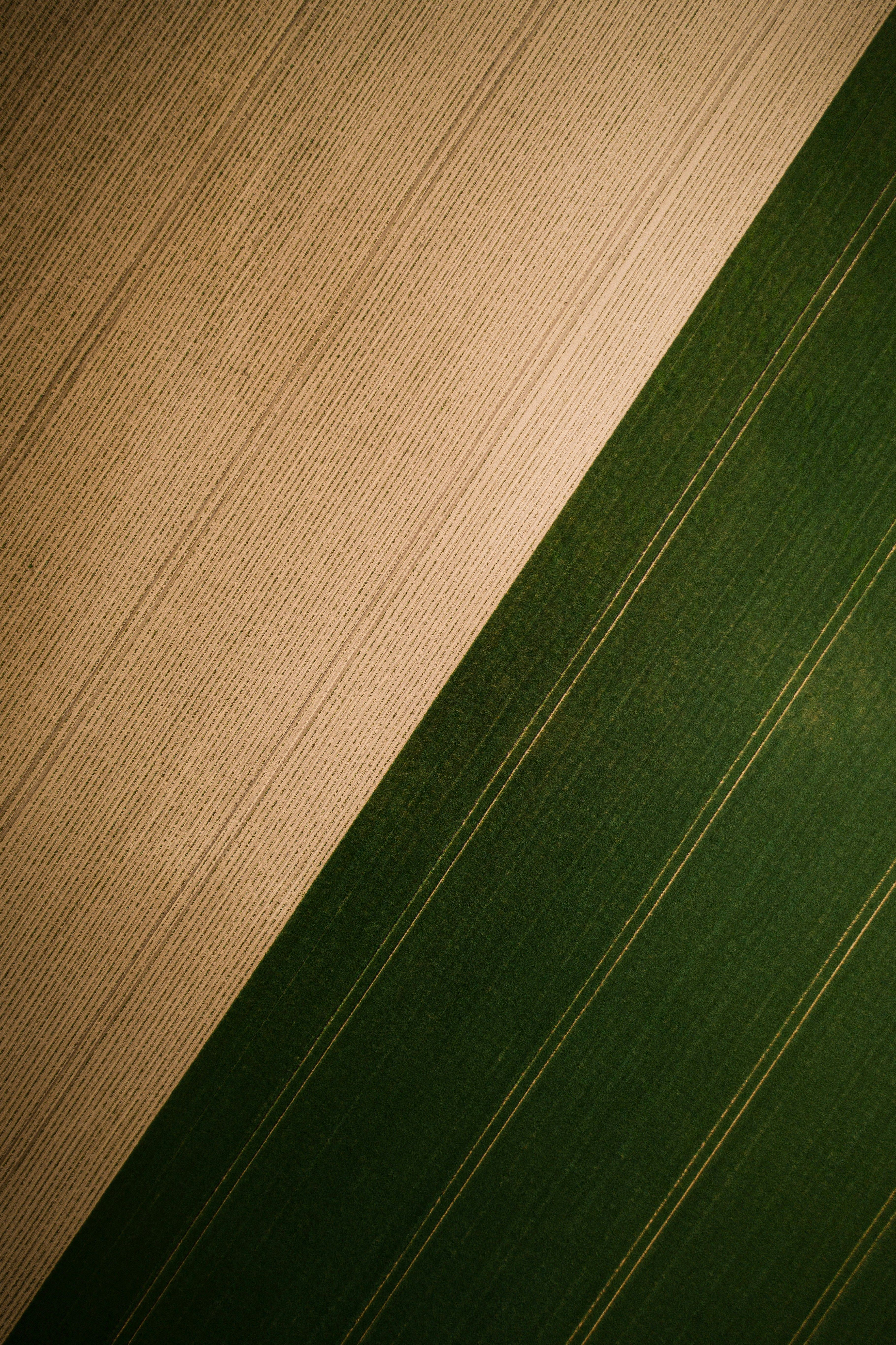 Stripe Detail