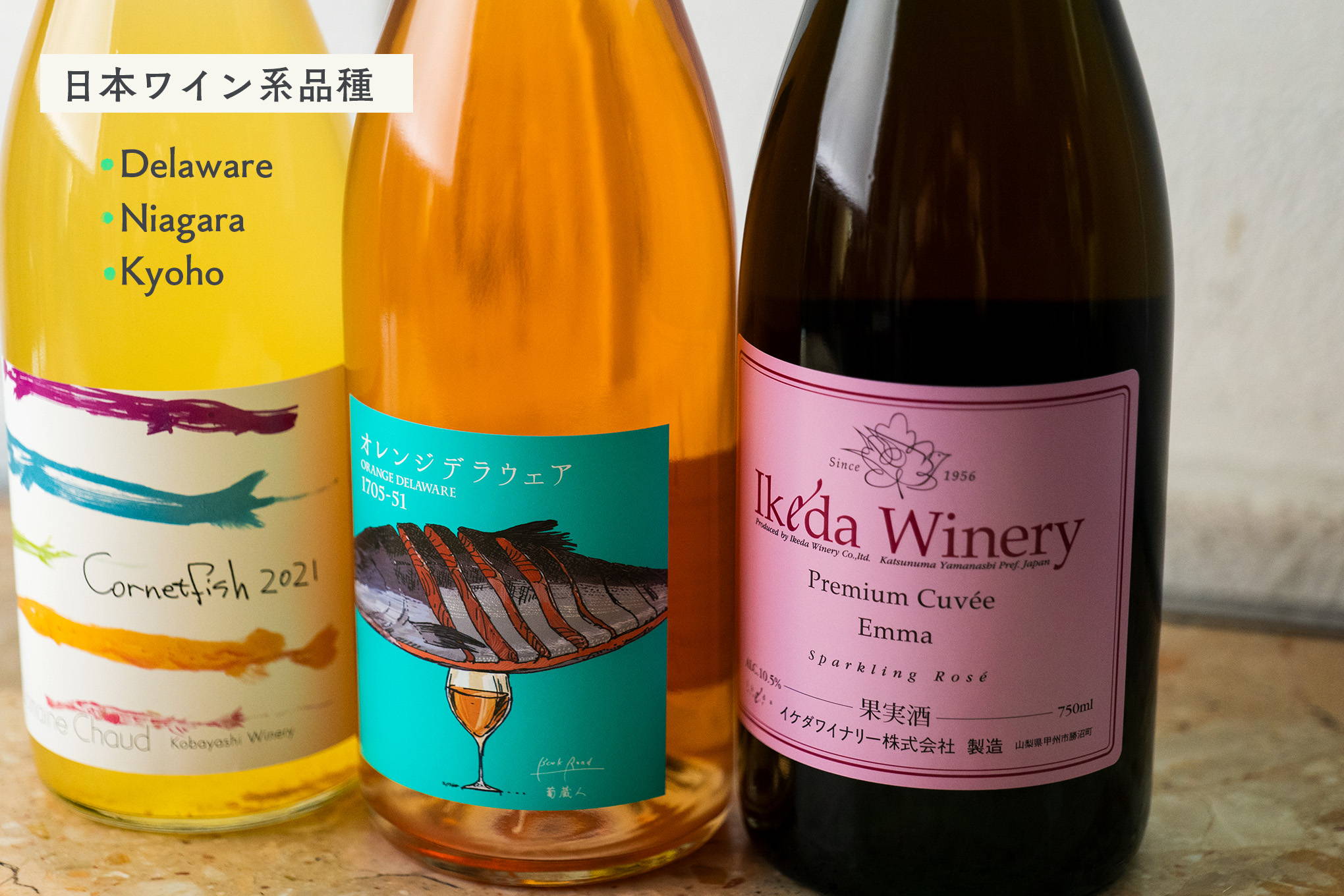 日本ワインならではのアロマティック品種。デラウェア、ナイアガラ、巨峰などの甘い香りに魅せられて。