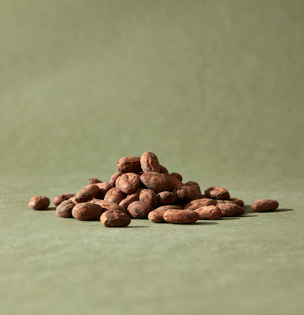 Cocoa beans in a pile
