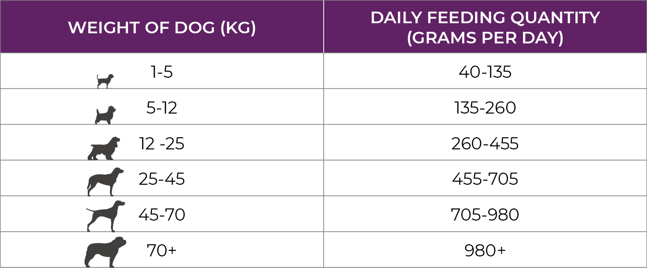 Country Pursuit Premium Working Dog Food Range Feeding Guidelines Premium Lamb