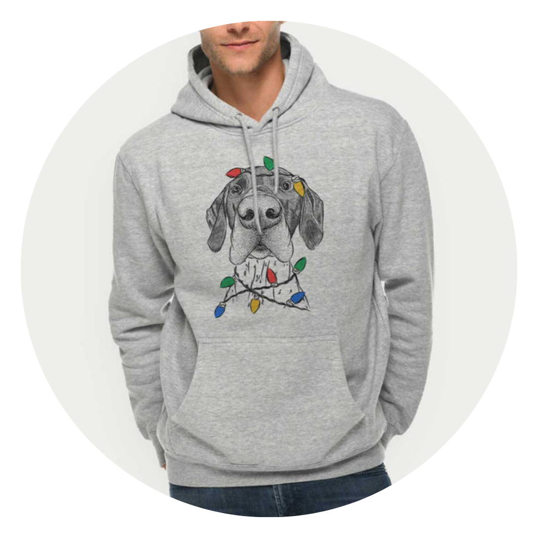 Dog with Christmas lights hoodie