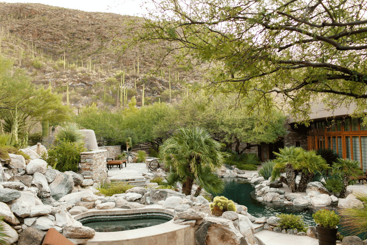 Desert landscape with natural boulder water feature, pool and spa, mature trees, and hillside cactus backdrop.