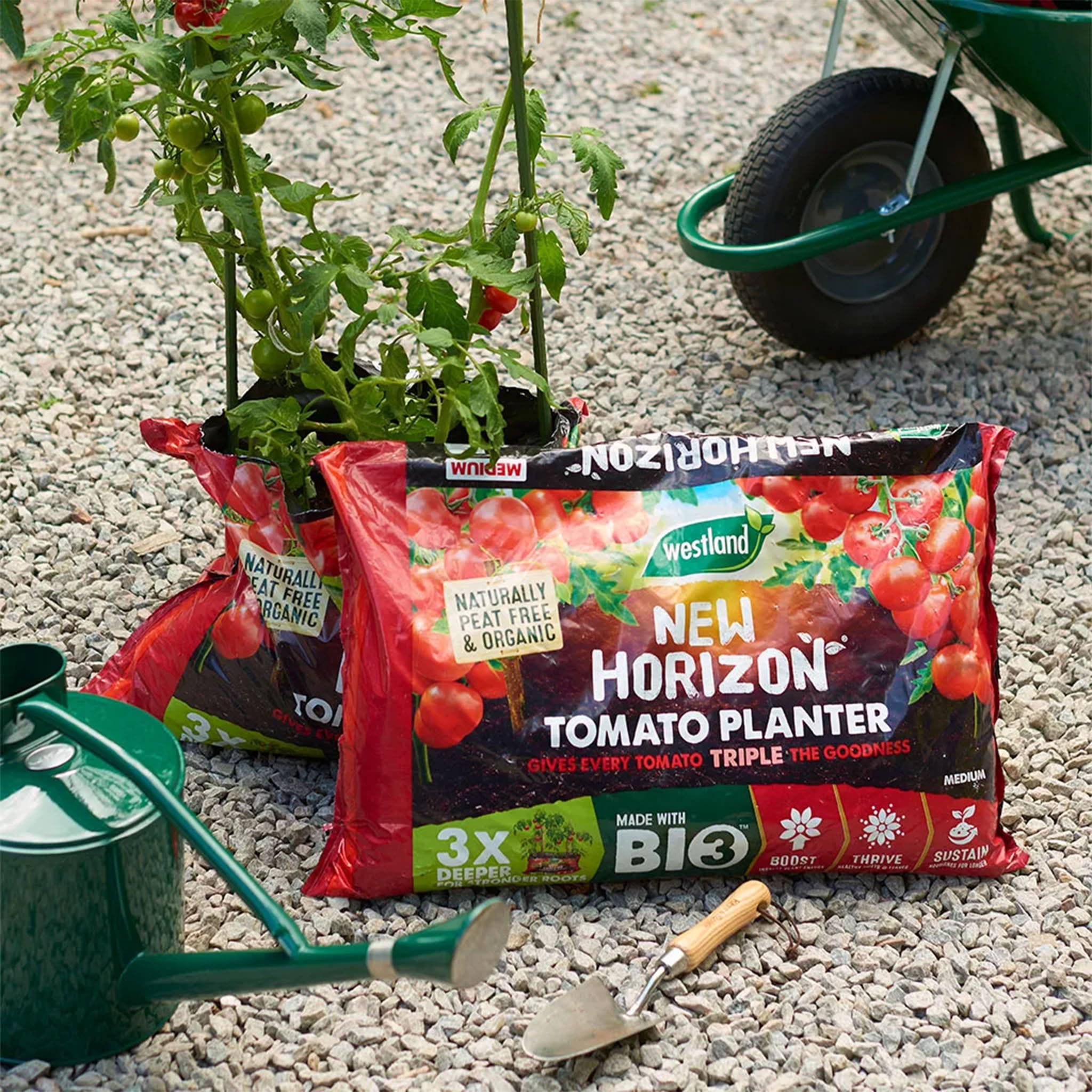 Tomato Plant Compost