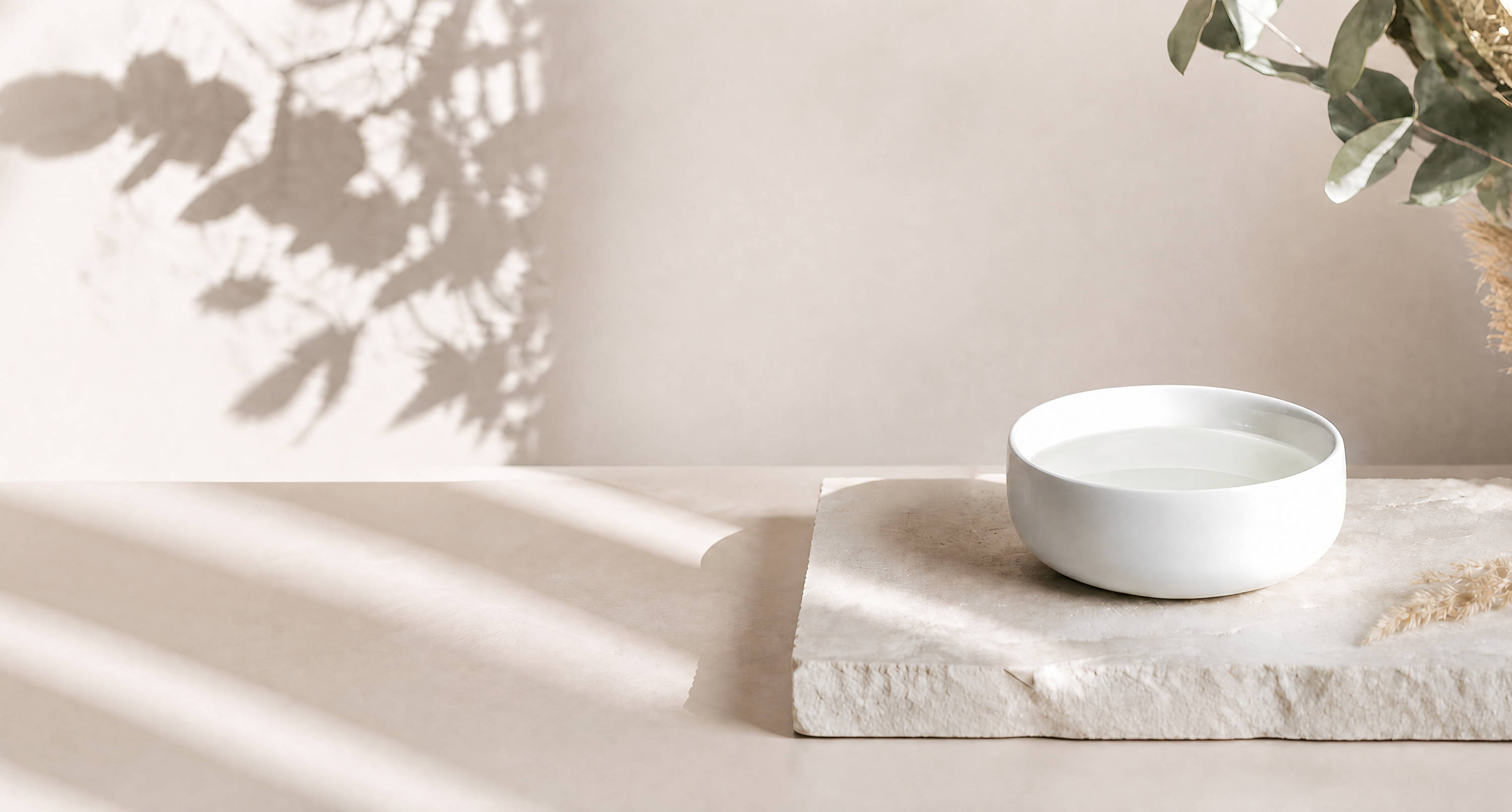 A minimalist scene with a white bowl and soft shadows on a neutral surface.