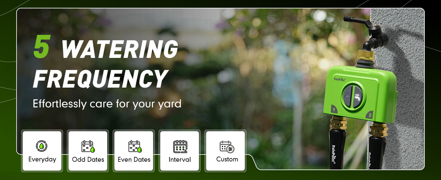 5 watering frequency options for plant care.