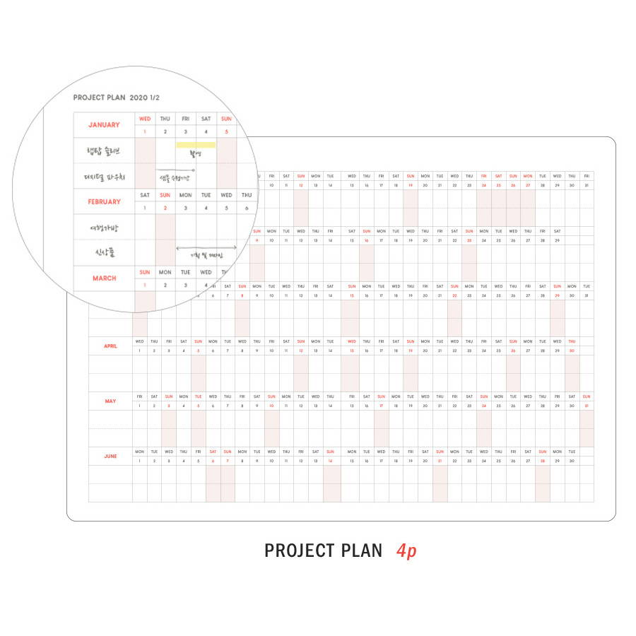 Project plan - ICONIC 2020 Brilliant dated daily planner scheduler