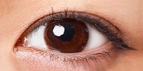 ブラウンの装用写真,DIA14.0mm,着色直径12.8mm,BC8.6mm|eyemake 1month(アイメイクマンスリー) コンタクトレンズ
